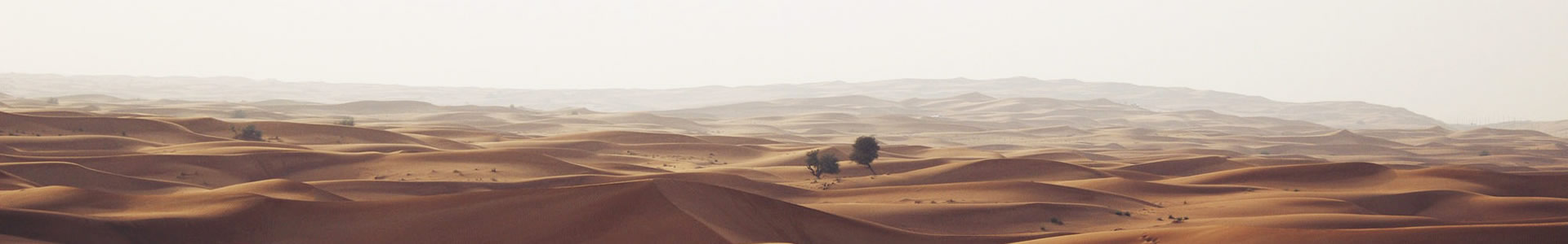ºػ쳧